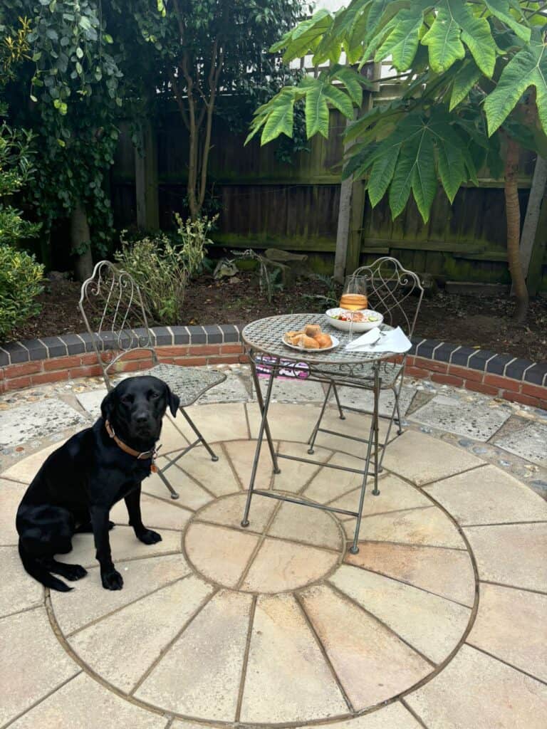 Beatiful finished patio showing dog looking at camera and breakfast on the table